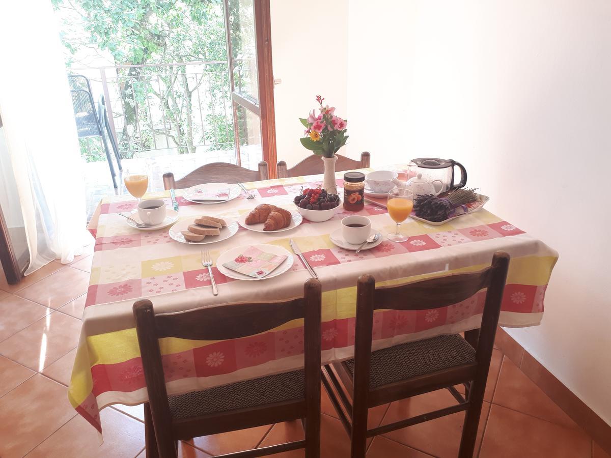 Apartments Dea 포레치 외부 사진